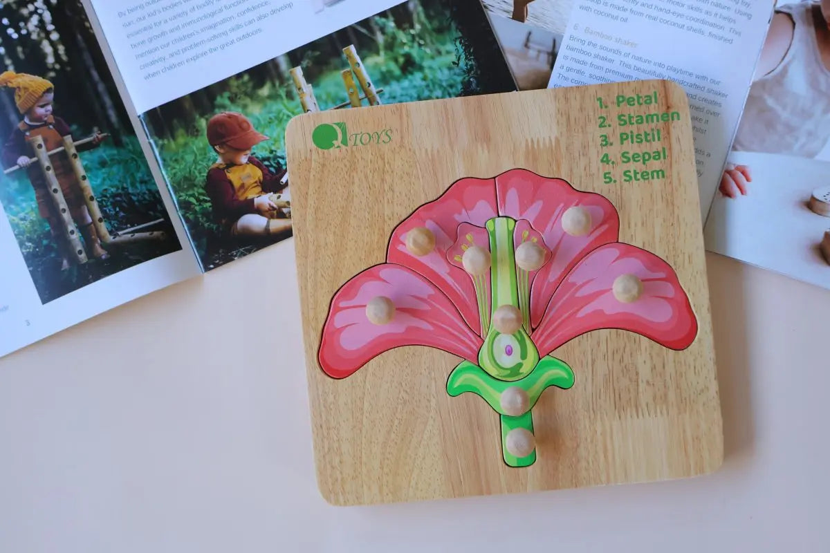 Montessori Parts of a Flower Puzzle Femina Worldwide