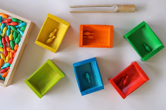 Coloured Bamboo Sorting Containers Femina Worldwide