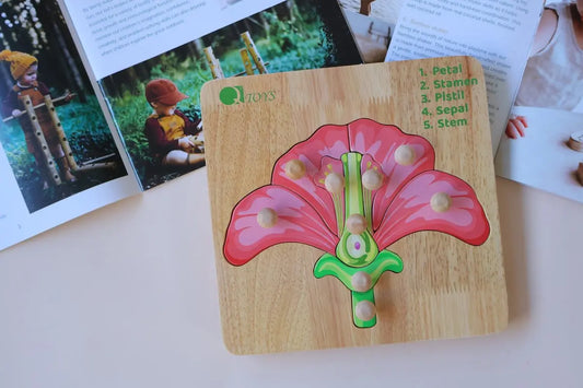 Montessori Parts of a Flower Puzzle Femina Worldwide
