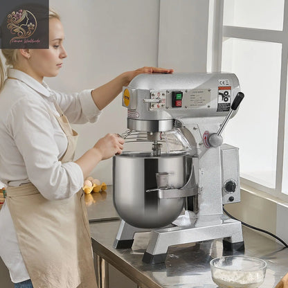 Commercial Food Mixer, 10L Commercial Stand Mixer with 3 Adjustable Speeds, 550W Dough Mixer with Stainless Steel Bowl and 3 Mixing Attachments, Ideal for Restaurant, Bakery, Pastry shop, Cafe